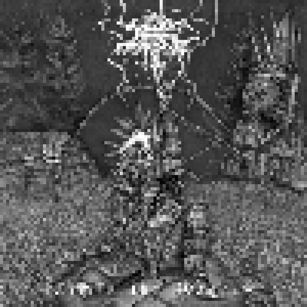 Darkthrone - Circle The Wagons