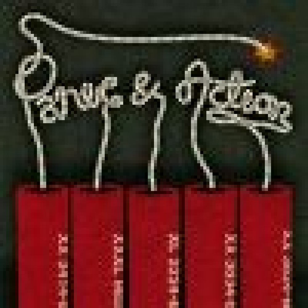 V.A. - Panic & Action 2010 V.A. - Panic & Action 2010