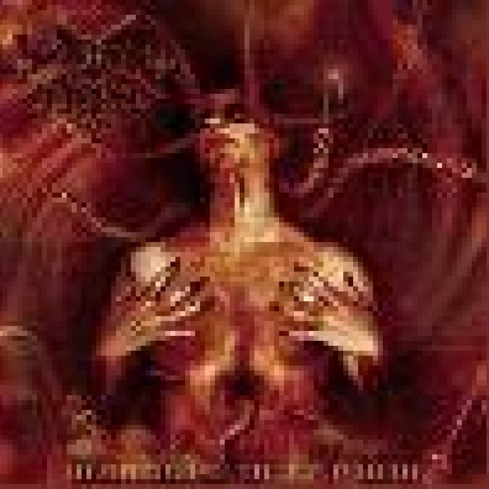 Dark Funeral - Diabolis Interium