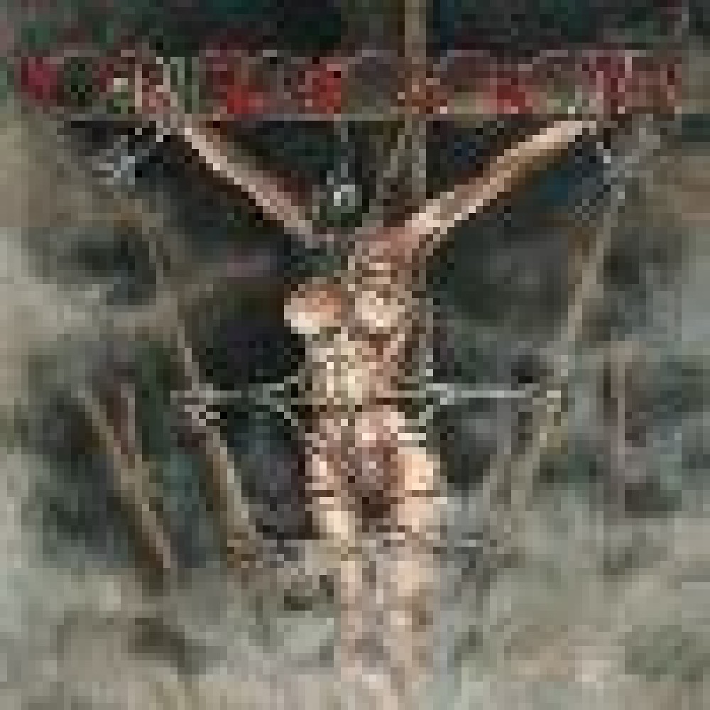 Eisregen - Farbenfinsternis