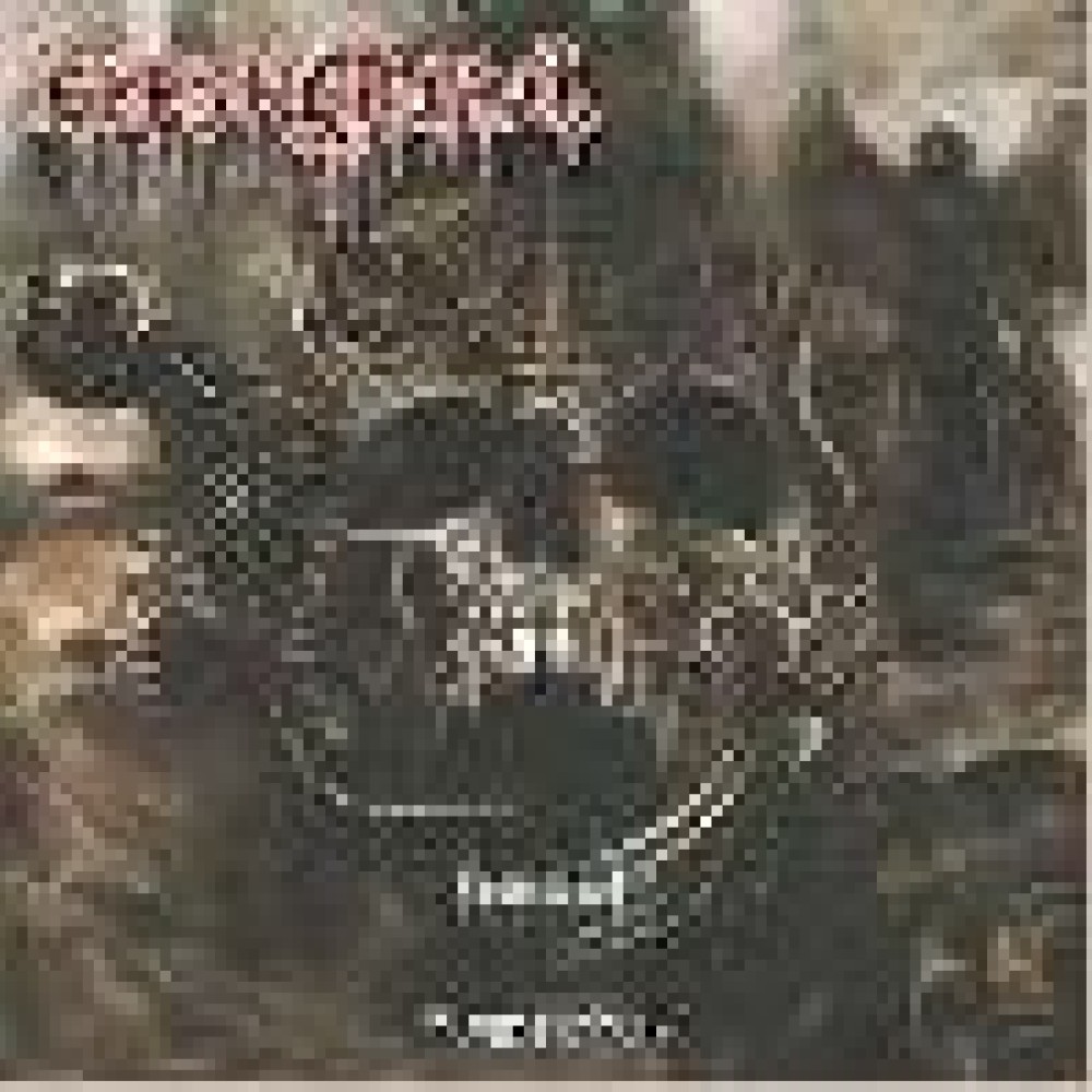 Fleshcrawl - Soulskinner