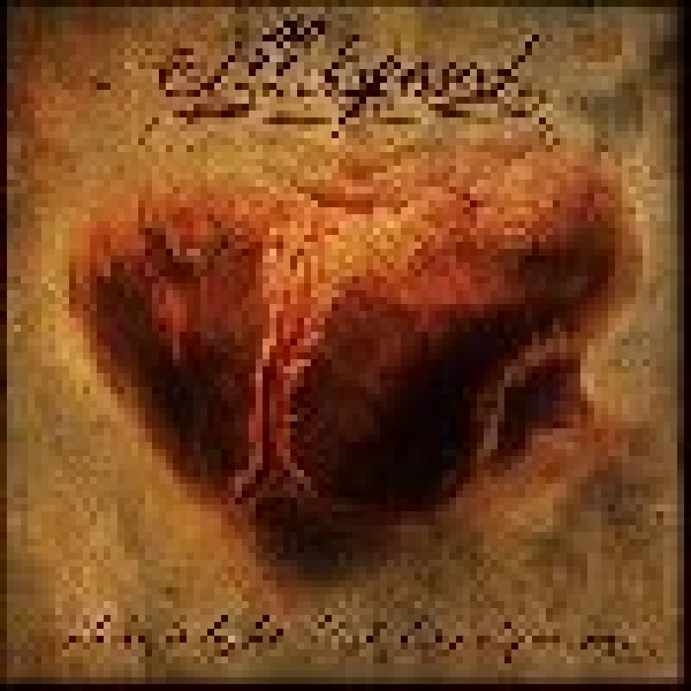 Illdisposed - There Is Light (But Not For Me) Illdisposed - There Is Light (But Not For Me)