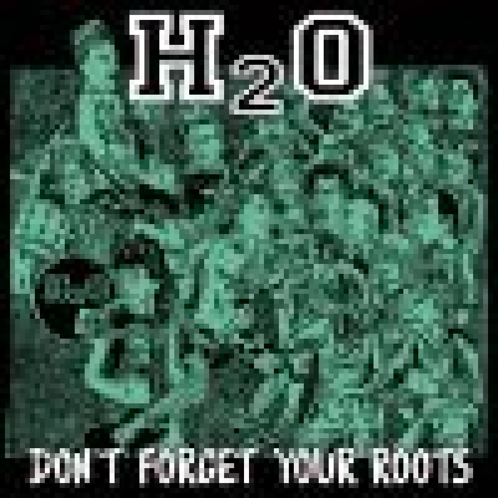 Don'T Forget Your Roots