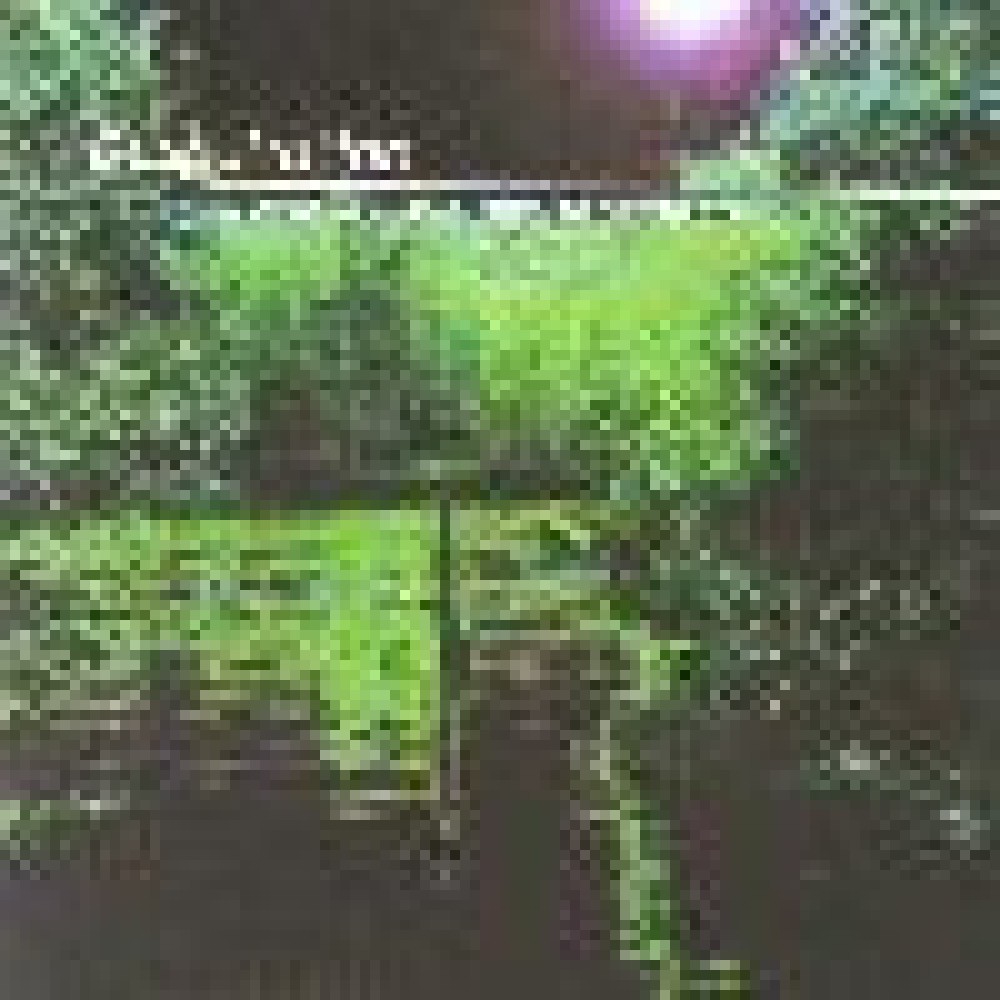 Despairation - Songs Of Love And Redemption