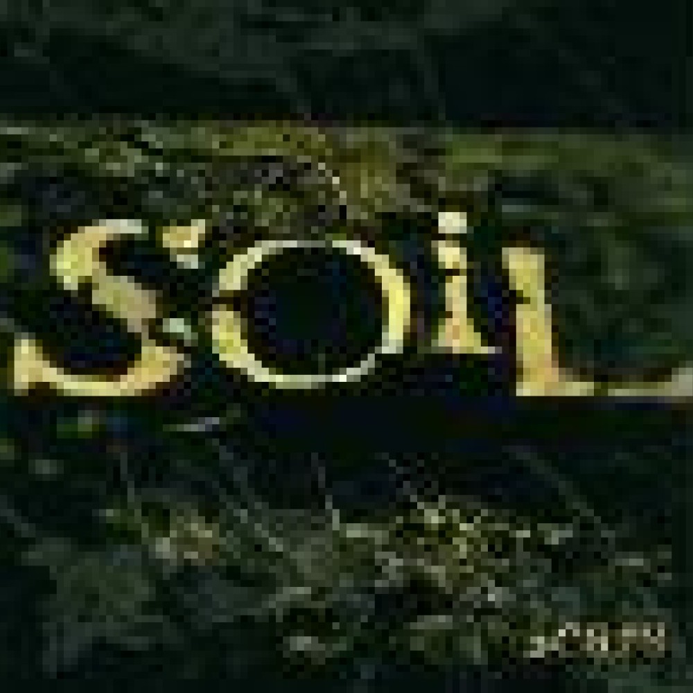 Soil - Scars Soil - Scars