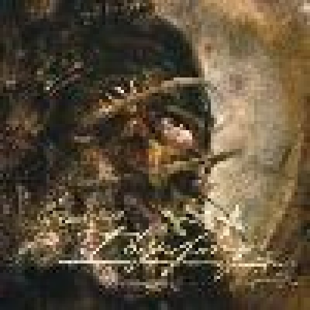 Thyrfing - Vansinnesvisor