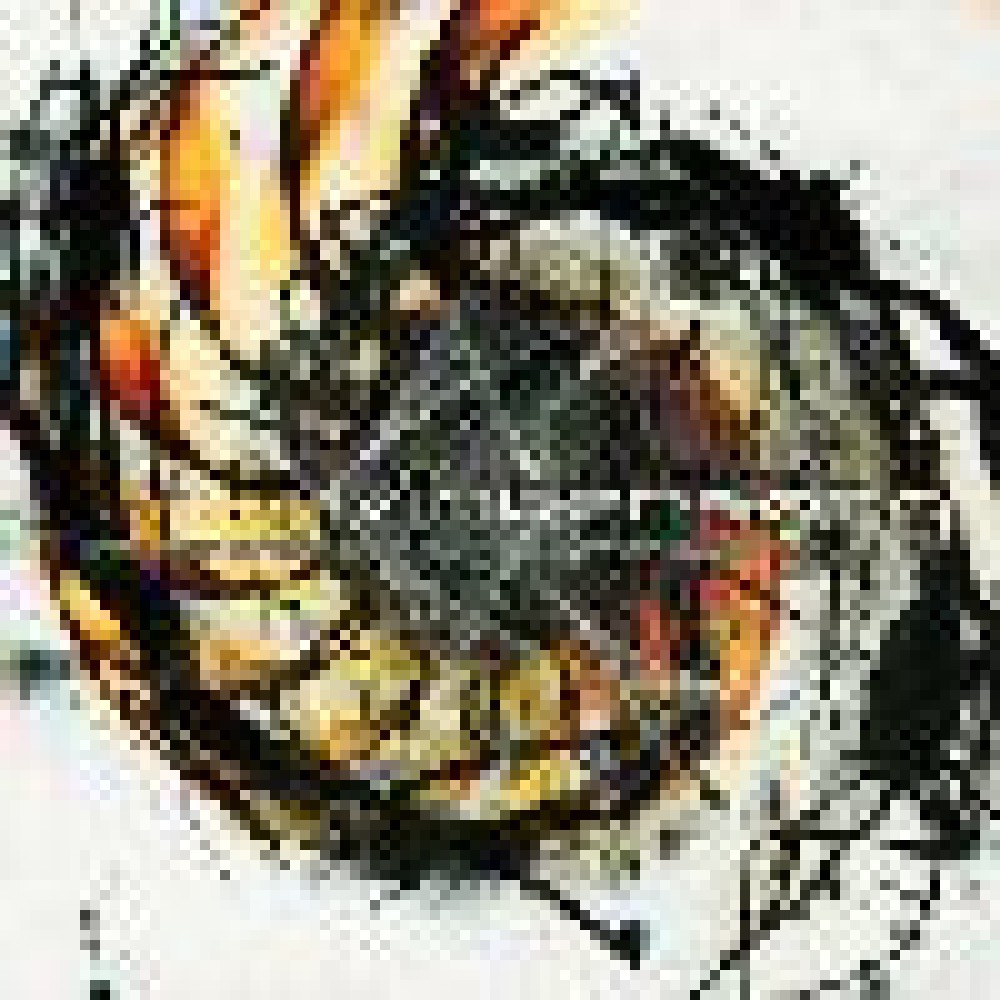 Vintersorg - Visions From The Spiral Generator