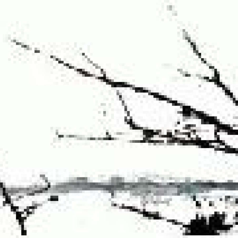 Tenhi - Väre Tenhi - Väre