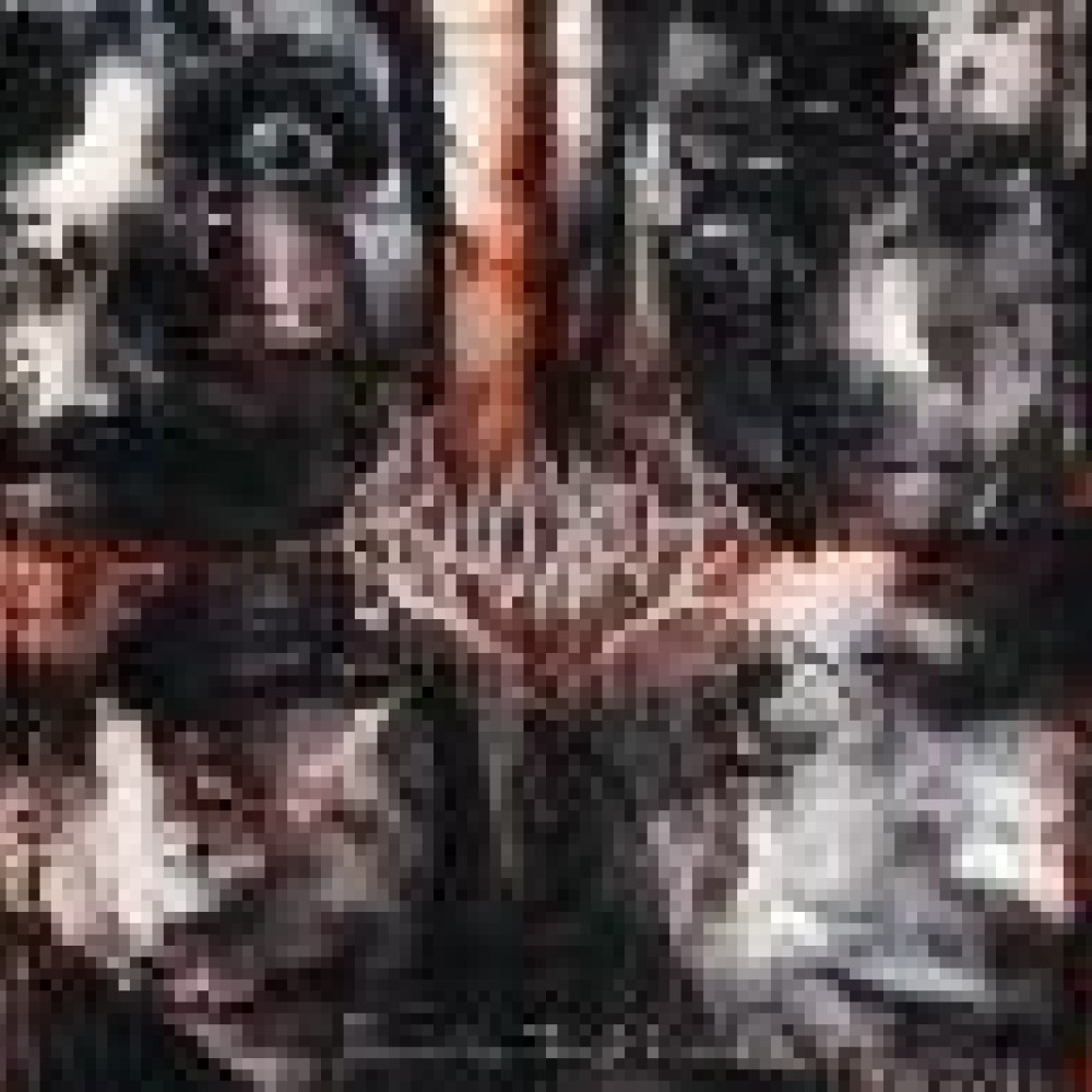 Bloodbath - Resurrection Through Carnage