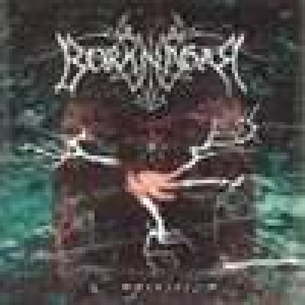Borknagar - Empiricism