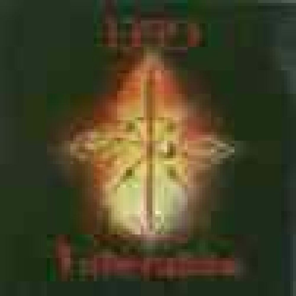 1349 - Liberation