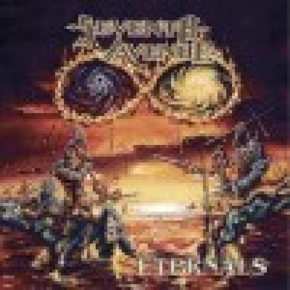 Seventh Avenue - Eternals