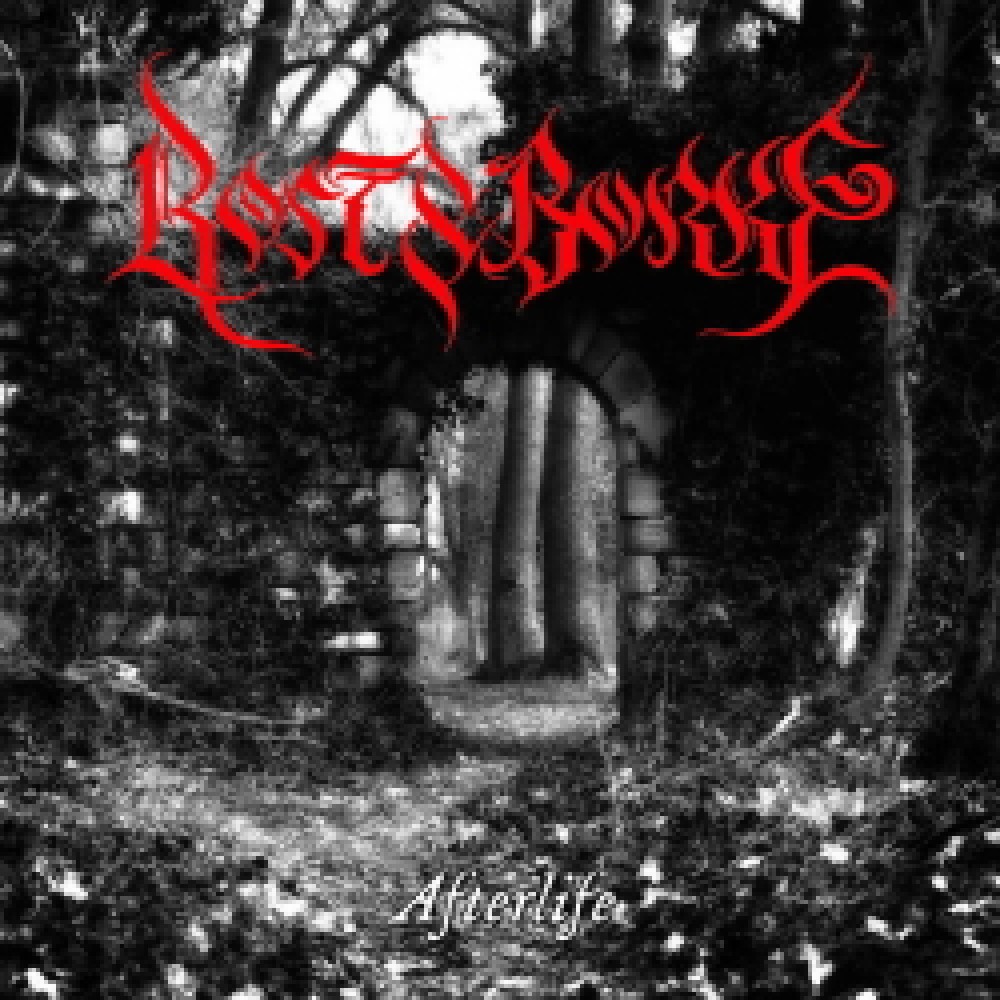 Rost & Borke - Afterlife