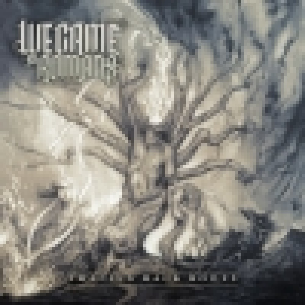We Came As Romans - tracing back roots